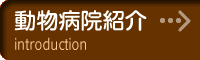 動物病院ご紹介